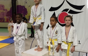 COUPE de TRIEL sur Seine