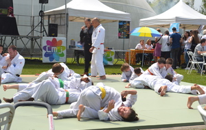 Fête du sport à La FRETTE/Seine
