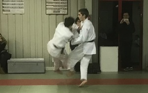 Bientôt ceinture noire