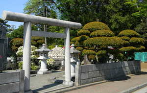 Quelques vidéos pour passer le temps!