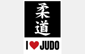 Pourquoi parle-t-on de JUDOGI et KIMONO ?