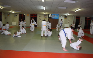 Apprendre les "Ukemi" (chutes)