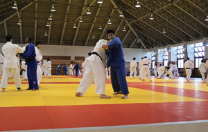 TENRI : entrainement à l'université (SHIRAKAWA en bleu)