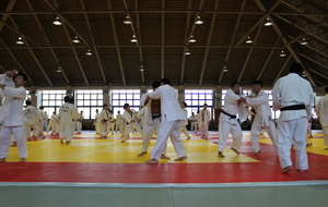 TENRI : entrainement à l'université 