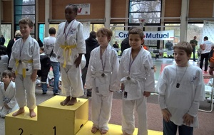 Coupe de SANNOIS Poussins, Mini-poussins