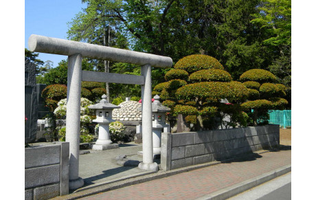 Quelques vidéos pour passer le temps!